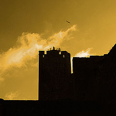 photo "Planing over the castle"