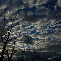 photo "Oktober sky"