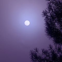 photo "My private moonlight"