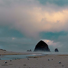 photo "*Winter beach*"