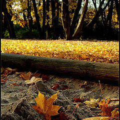 photo "Autumn in sandbox"
