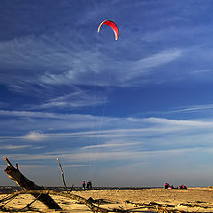 photo "To reach heavens"