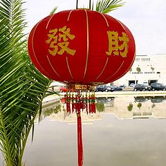 фото "Chinese lamp"