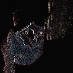 photo "Halloween"
