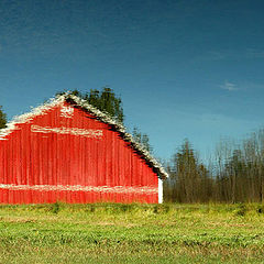 photo "Reflection"