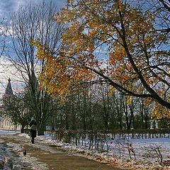 фото "Осенняя встреча с котом."