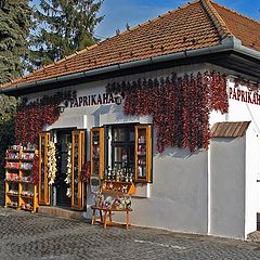 photo "Paprika Store"