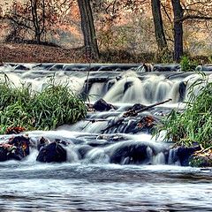 photo "autumns view"