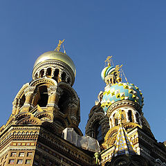 фото "Устремленность"