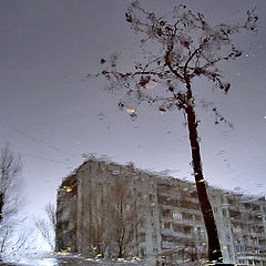 фото "Дождливое отражение....."