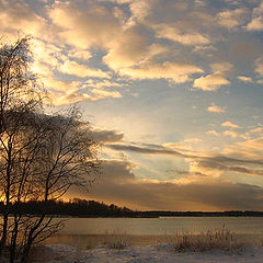 фото "Autumn afternoon and the first snow"