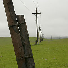 photo "Crosses"