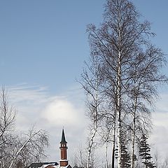 фото "Под сенью русских берез..."