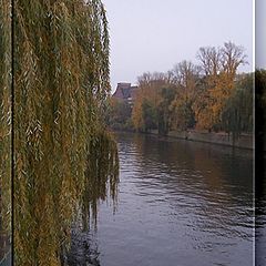 photo "River in fall..."