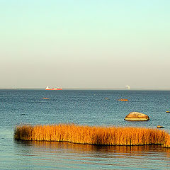 photo "Autumn on gulf of Finland"