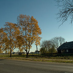 photo "At autumn road"