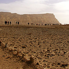 photo "40 years in the desert..."