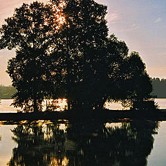 photo "About catching of the sun and a fish."