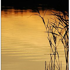 фото "Sunset on a "Deep" lake, Moscow region"