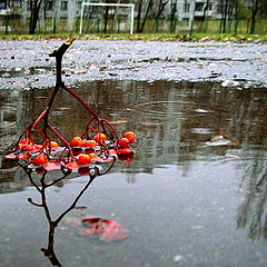 фото ""В городе осень.....""