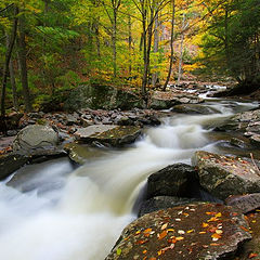 photo "Three Seconds in Fall"