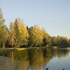 фотоальбом "Пейзажи"