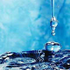 photo "Drops of water-2"