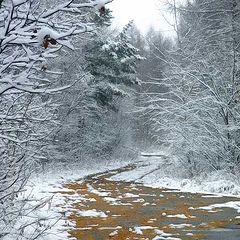 photo "First snow"