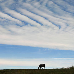 photo "Space of Sky"