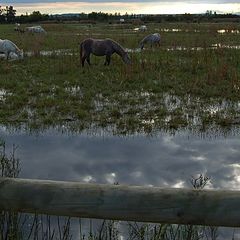 фото "Сумерки"