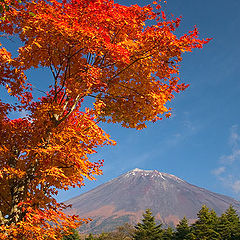 photo "Autumn Colors"