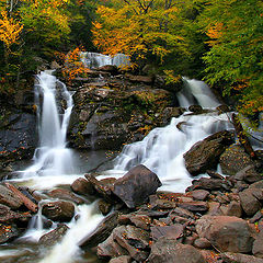 photo "Autumn Serenity"