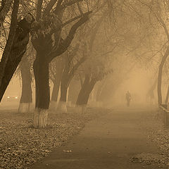 photo "Outbound autumn"