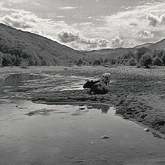 фото "Без названия"