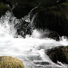 photo "Games of the water"