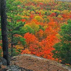 photo "Algonquin PP (7)"