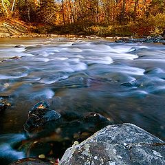 photo "Fall's Movement"