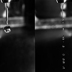 фото "dripping...."