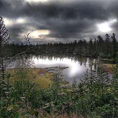 фото "Кончаются краски"