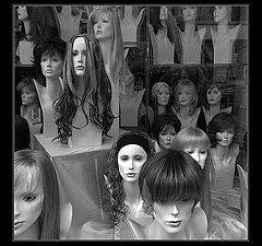 photo "Dummies"