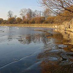 photo "One day prior to arrival of winter."