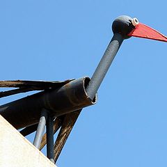 photo "iron bird"