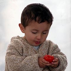 photo "tasty tomato"