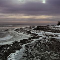 фото "Утро ноября."