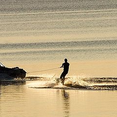 photo "Water Skis"