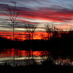 фото "November Sunset"