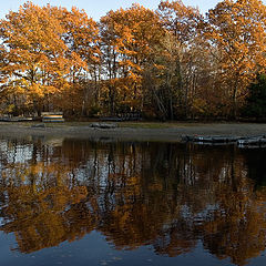 photo "Fall'sColor"