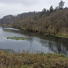 фото "Пасмурно"