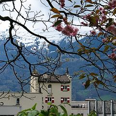 photo "Spring in Liechtenstein"