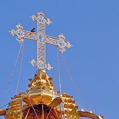 photo "Eternal  companion of crosses"